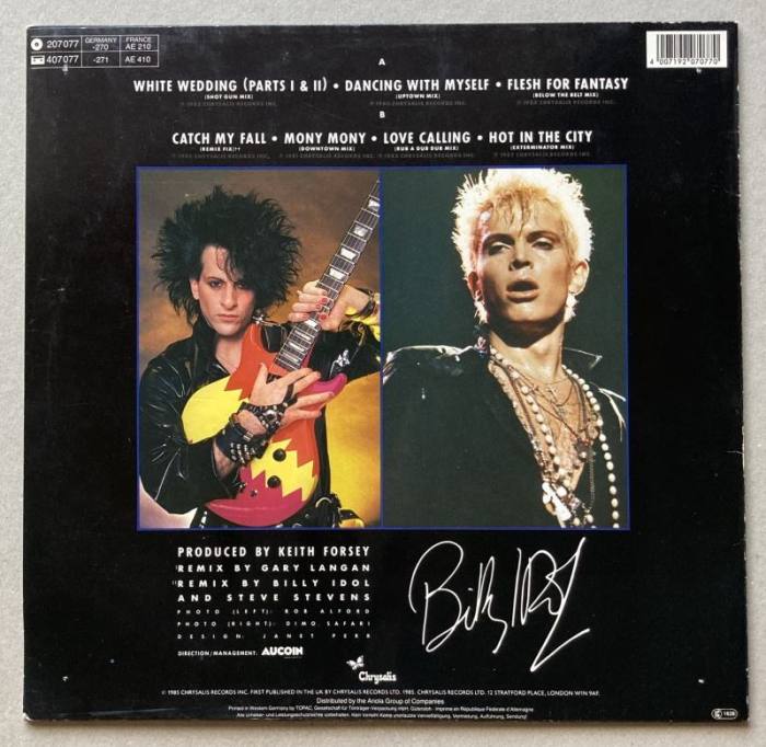 Billy Idol - Vital Idol (LP)