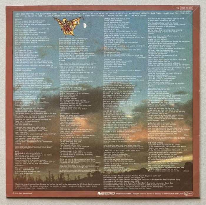 Kate Bush - The Kick Inside (LP)