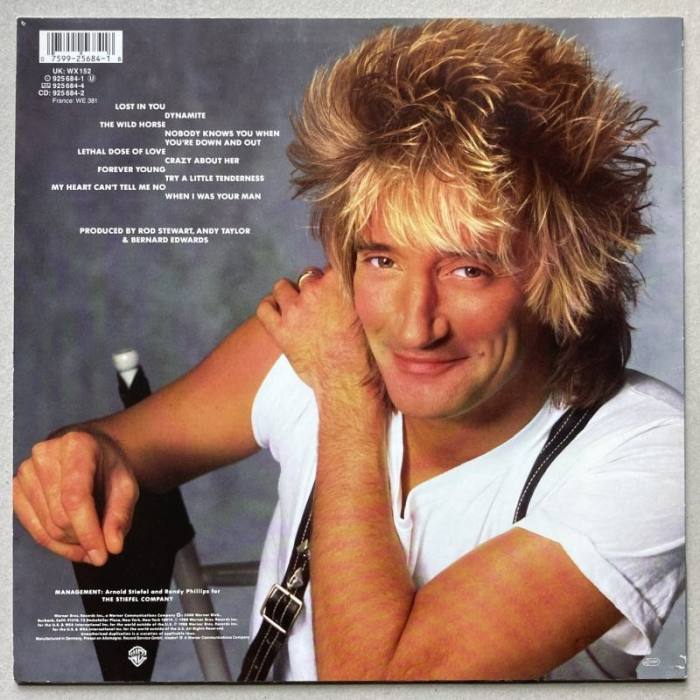 Rod Stewart - Out Of Order (LP)