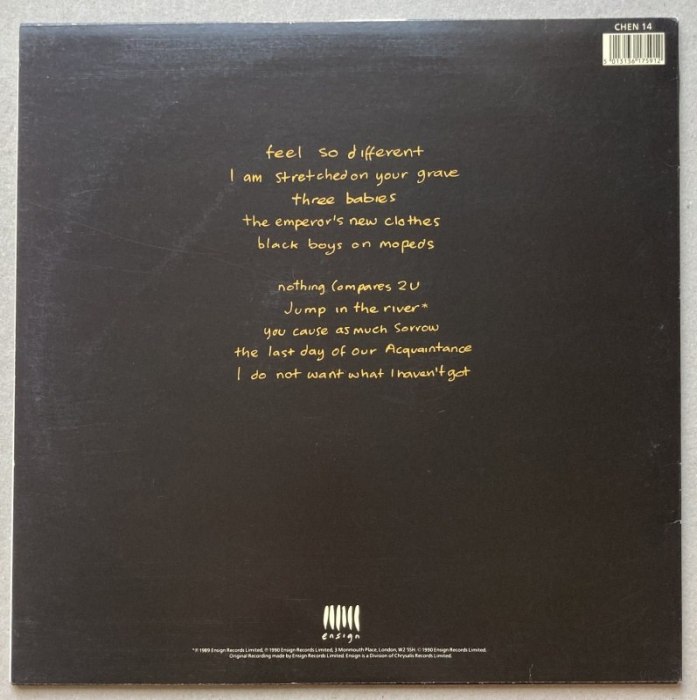 Sinéad O'Connor - I Do Not Want What I Haven't Got (LP)