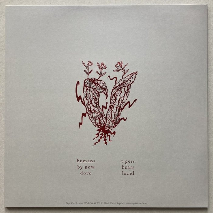 Kalle - Songs With The Acoustic Band (LP) - nová