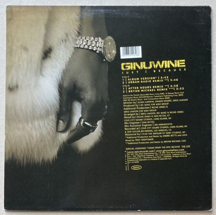 Ginuwine - Just Because (LP)