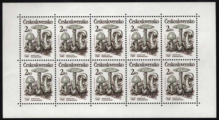 2909PL-2913PL - Jedovaté houby
