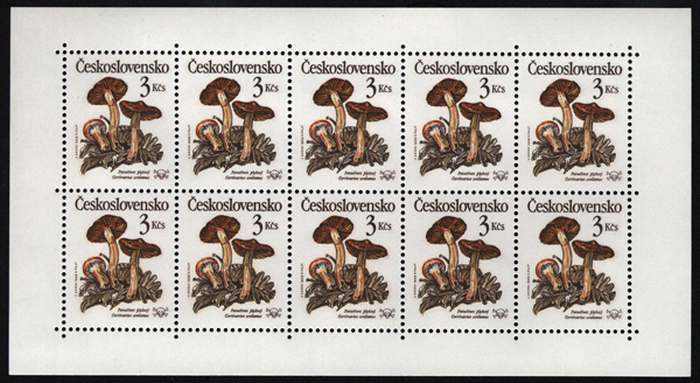 2909PL-2913PL - Jedovaté houby