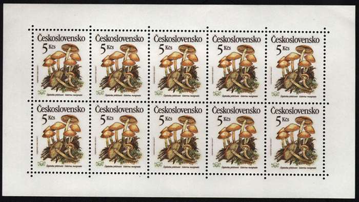 2909PL-2913PL - Jedovaté houby