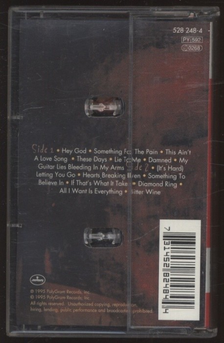 Bon Jovi - These Days (MC)