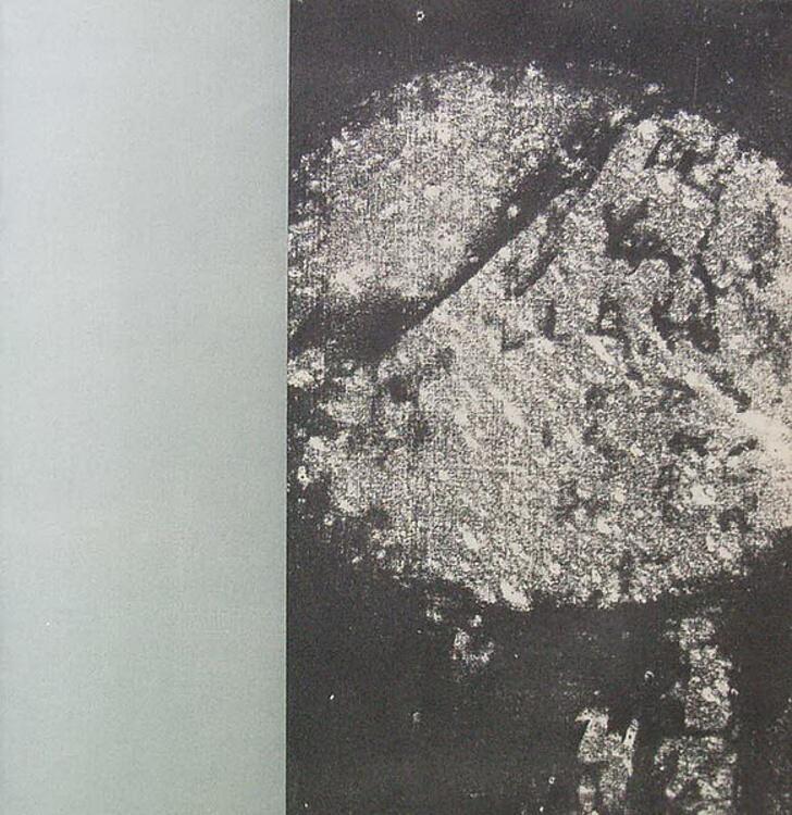 Mácha, Karel Hynek - Máj