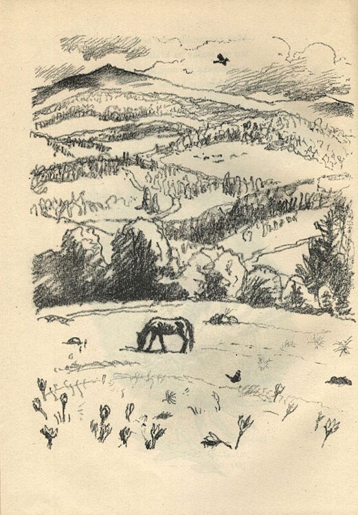 Hrubín, František - Pasáček a sluníčko (Max Švabinský)