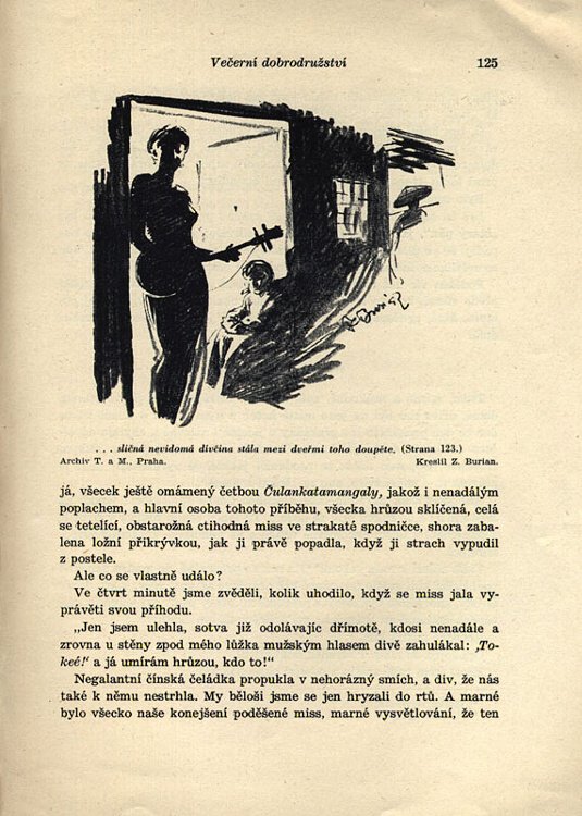 Vráz, Enrique Stanko - V zemi bílého slona