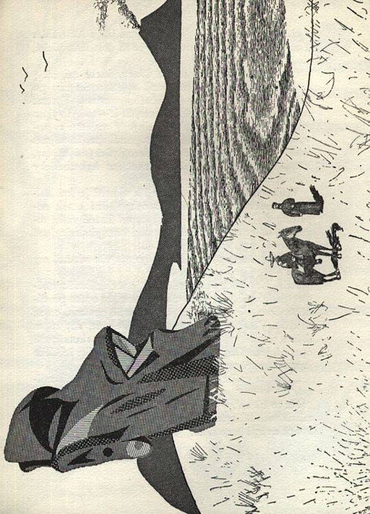 Hoffmeister, Adolf - Mrakodrapy v pralese