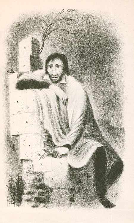 Hora, Josef - Máchovské variace