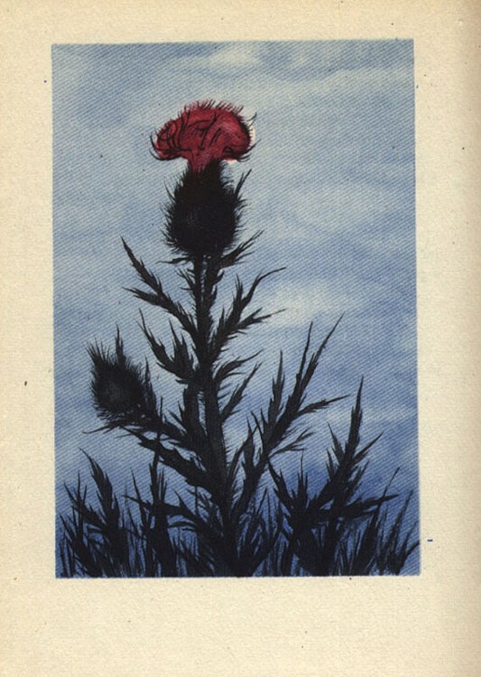 Neruda, Jan - Čtyři knihy básní
