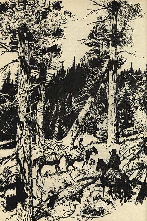 Luskač, Rudolf - Závoj zeleného ticha