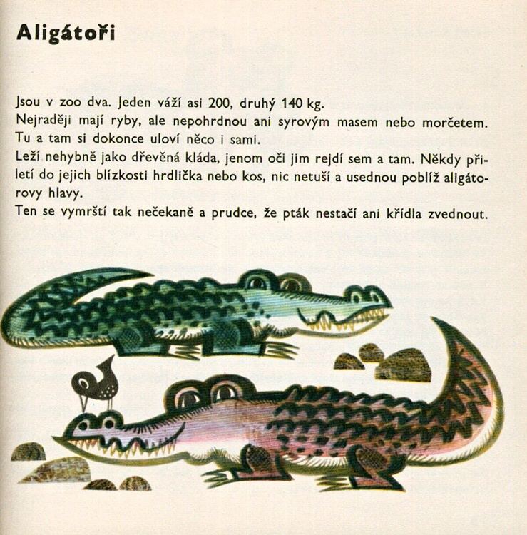 Binek, Jiří / Felix, Jiří - Do o kolem Zoo
