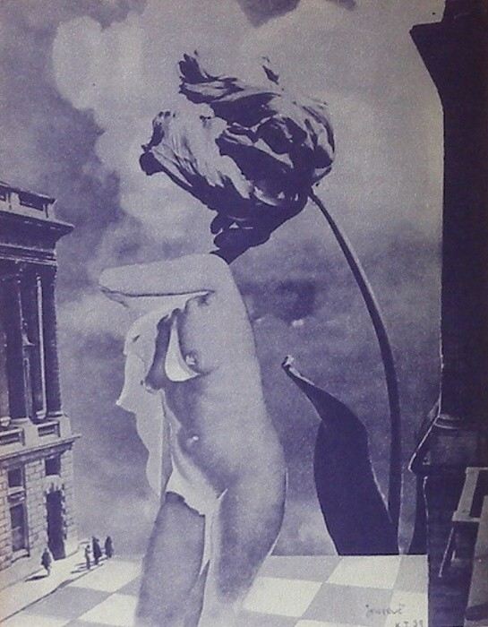 Eluard, Paul - Veřejná růže