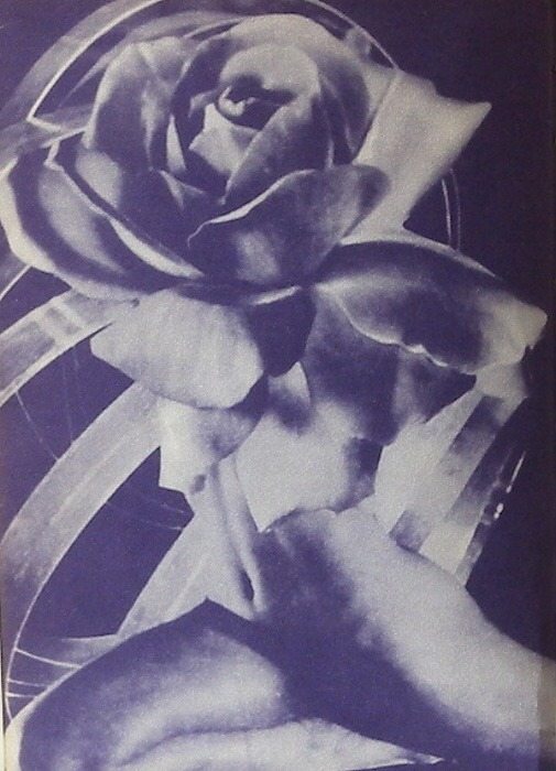 Eluard, Paul - Veřejná růže