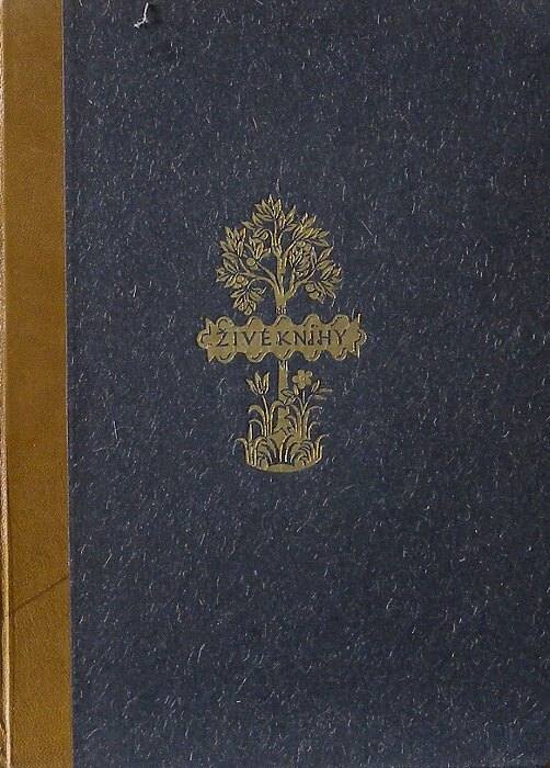 Fracchia, Umberto - Angela