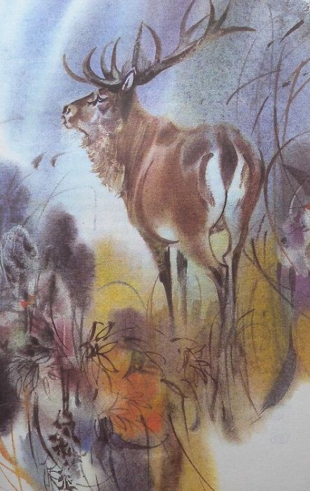 Čelůstka, Josef - Za losy a medvědy