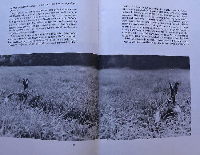 Tomeček, Jaromír; Holeček, Jaroslav - Zaječí romance