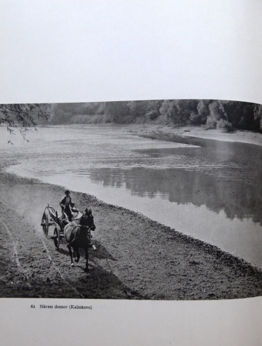 Plicková, Ester - Dunaj (slovensky)