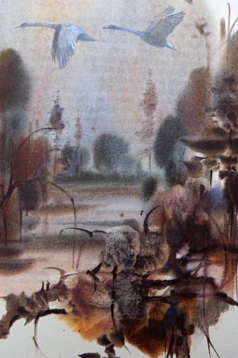 Andreska, Jiří - Labuťáček