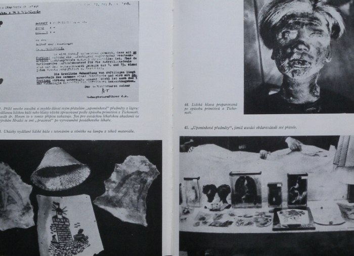 Různí - Buchenwald varuje (Dokumenty, vzpomínky, svědectví)