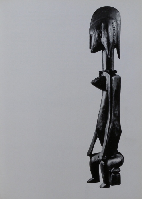 Sannes, G. W. - African primitives (function a form in african masks a figures) (anglicky)