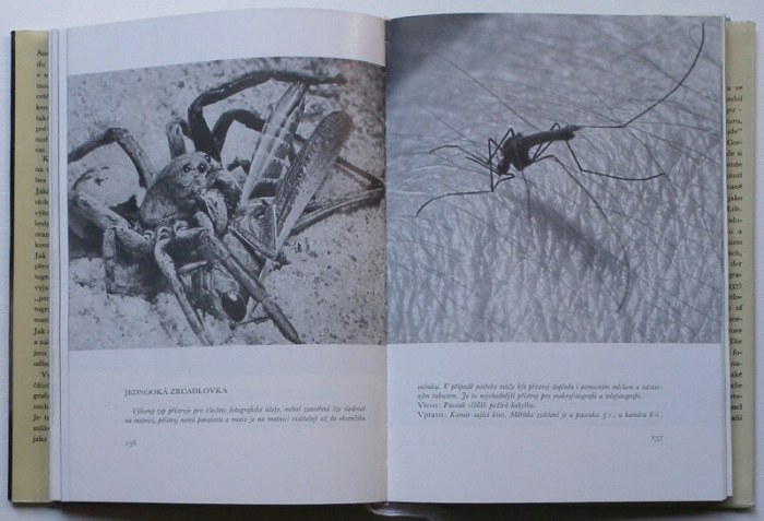 Feininger, Andreas - Vysoká škola fotografie