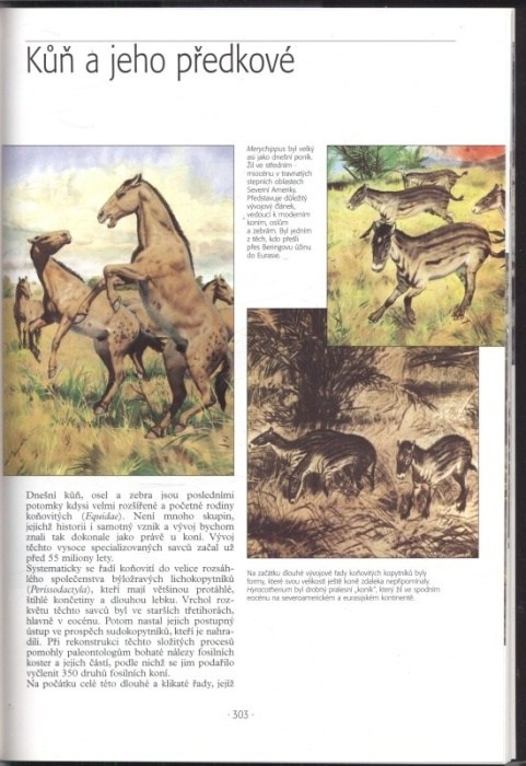 Záruba, Bořivoj; Burian, Zdeněk - Otisky času