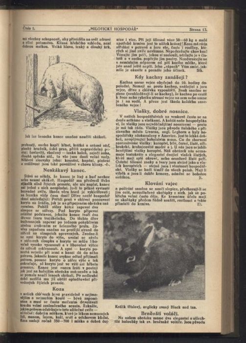 Dadák, Arnošt - Milotický hospodář, ročník XLII. 1931