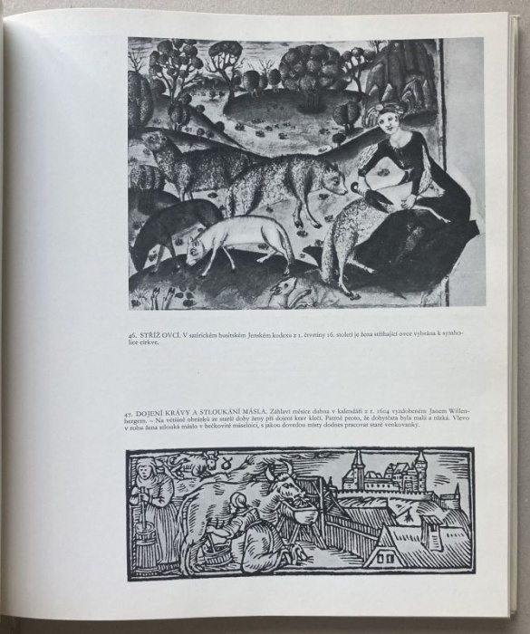 Petráň, Josef; Šubrtová, Alena - Homo faber