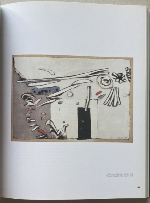 Primus, Zdeněk - Vladimír Fuka - Cesta labyrintem  / Journey into the labyrinth