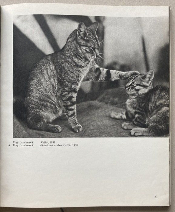 Keim, J. A. - Moderní francouzská fotografie