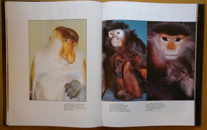 Samková, Zuzana / Tylínek, Erich / Volf, Jiří - ZOO, útočiště zvířat