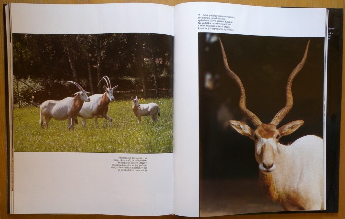 Samková, Zuzana / Tylínek, Erich / Volf, Jiří - ZOO, útočiště zvířat