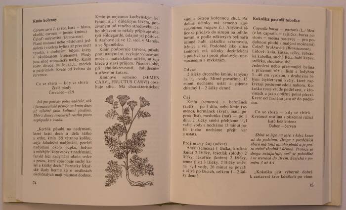 Hoffmannová, Eva / Jebavý, František S. - Rostliny v domácí lékárně