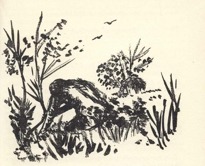 Iljin, M.; Segal, E. - Jak se člověk stal vládcem přírody