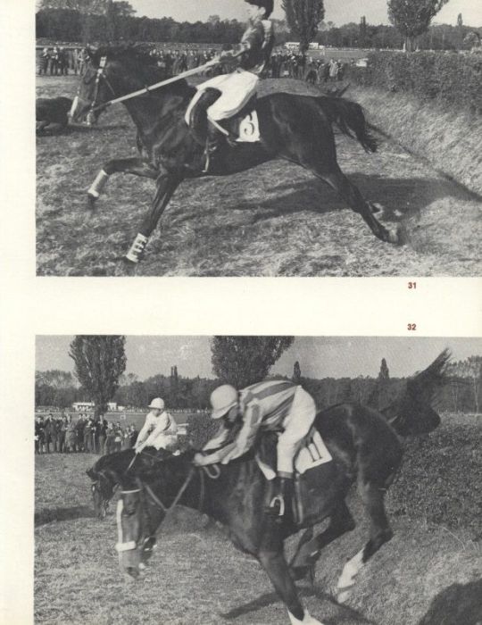 David, Vladimír - Od startu do cíle (Velká pardubická steeplechase)
