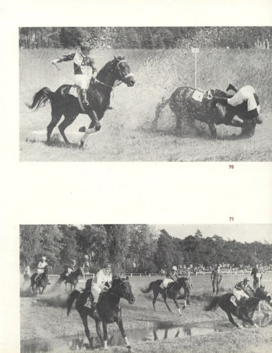 David, Vladimír - Od startu do cíle (Velká pardubická steeplechase)