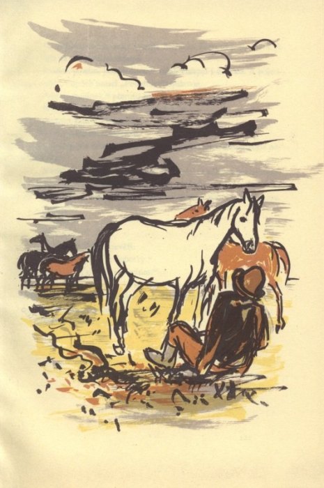 Prokůpek, Václav - Naše hříbátka