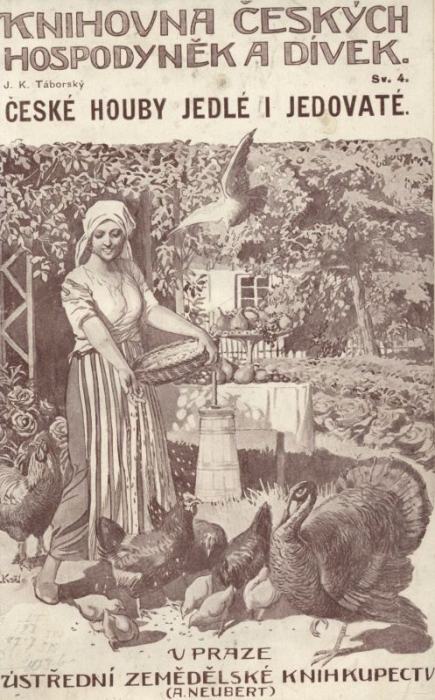 Benešová, Milada - Salátová kuchyně
