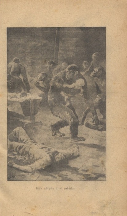 Burroughs, Edgar Rice - Tarzan 1-7 (ve čtyřech svazcích)