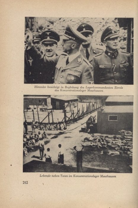 Kolektiv autorů - SS Im Einsatz