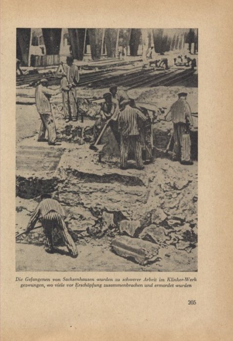 Kolektiv autorů - SS Im Einsatz