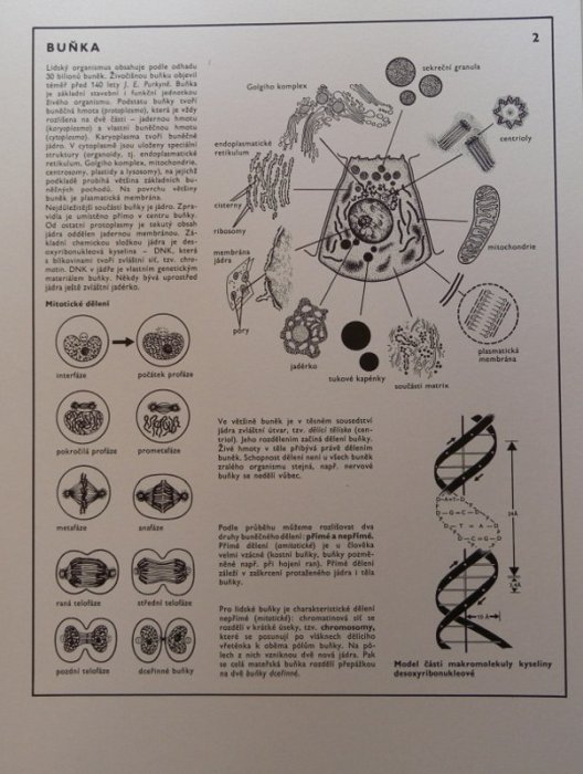 Trojan, Stanislav - Biologie člověka v obrazech