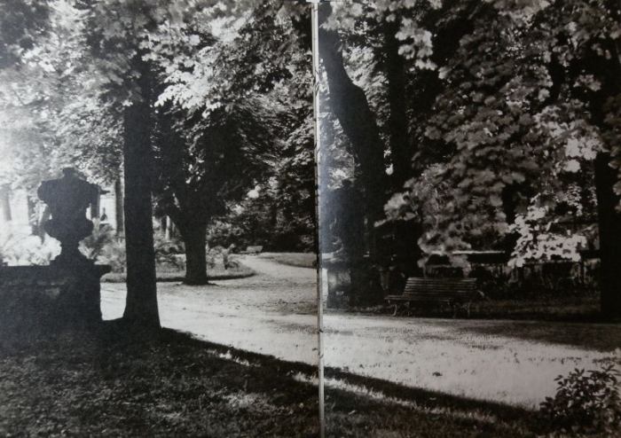 Nezval, Vítězslav - Pražský chodec