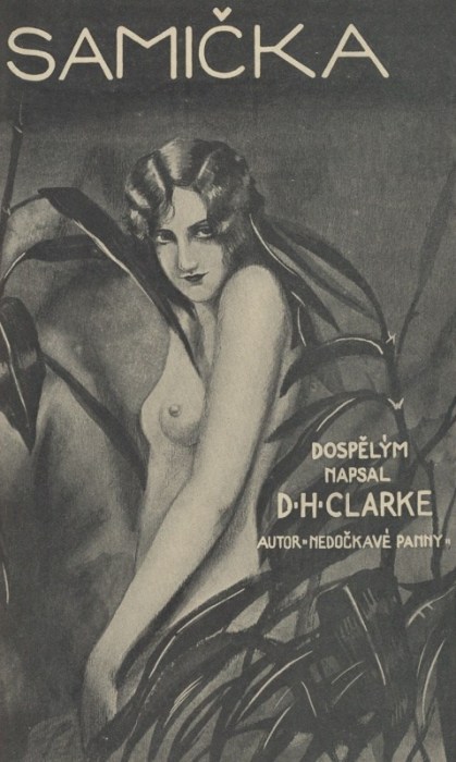Clarke, Donald Henderson - Samička (Román ženy)