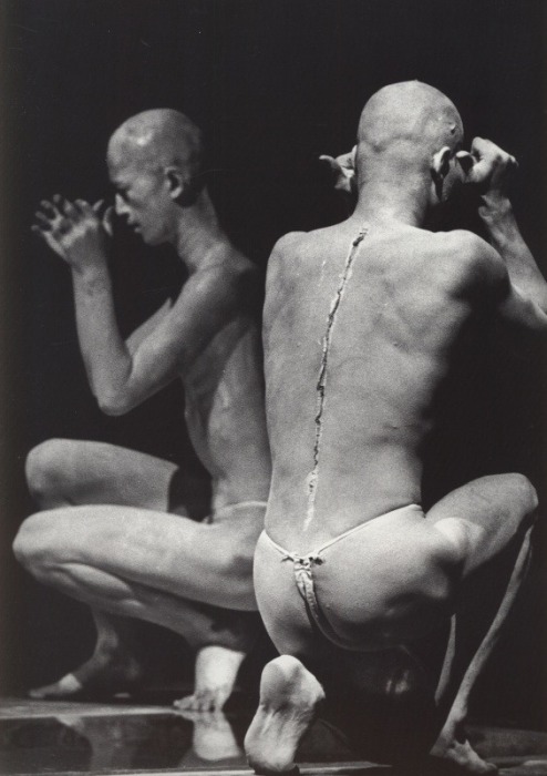 Delhaye, Guy; Amagatsu, Ushio - Sankai Juku - francouzsky