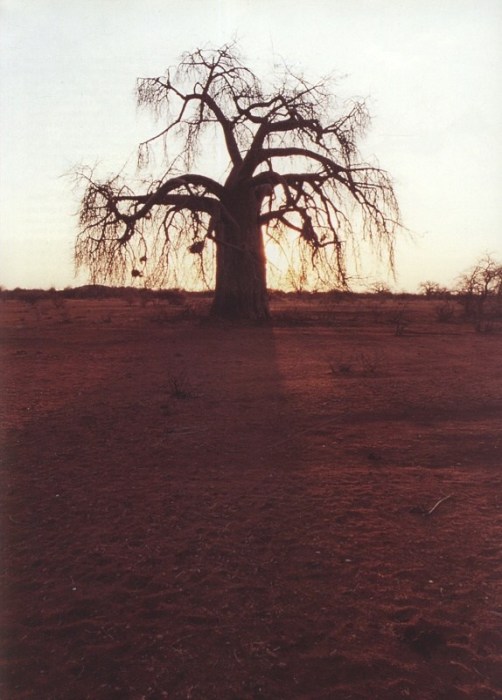 Chaloupek, Václav - Jižní Afrika mýma očima