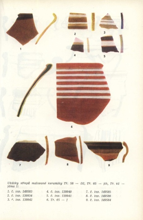 Břeň, Jiří - Třísov - keltské oppidum